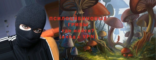 MDMA Premium VHQ Новозыбков