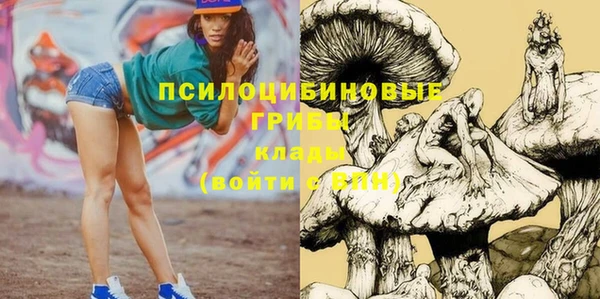 тгк Абдулино