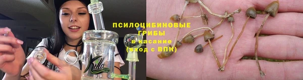 PSILOCYBIN Новокубанск