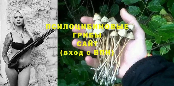 эйфоретик Абаза