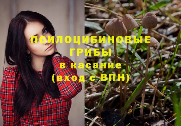 молекула духа Алзамай