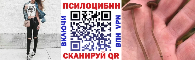 Галлюциногенные грибы Magic Shrooms купить наркотик Терек