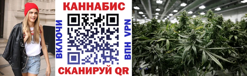 Бошки Шишки планчик  Терек 